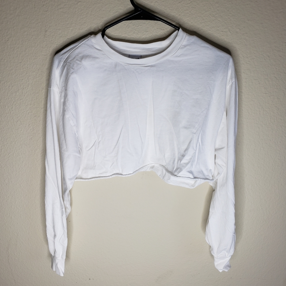 Aritzia Long-sleeved Crop Top